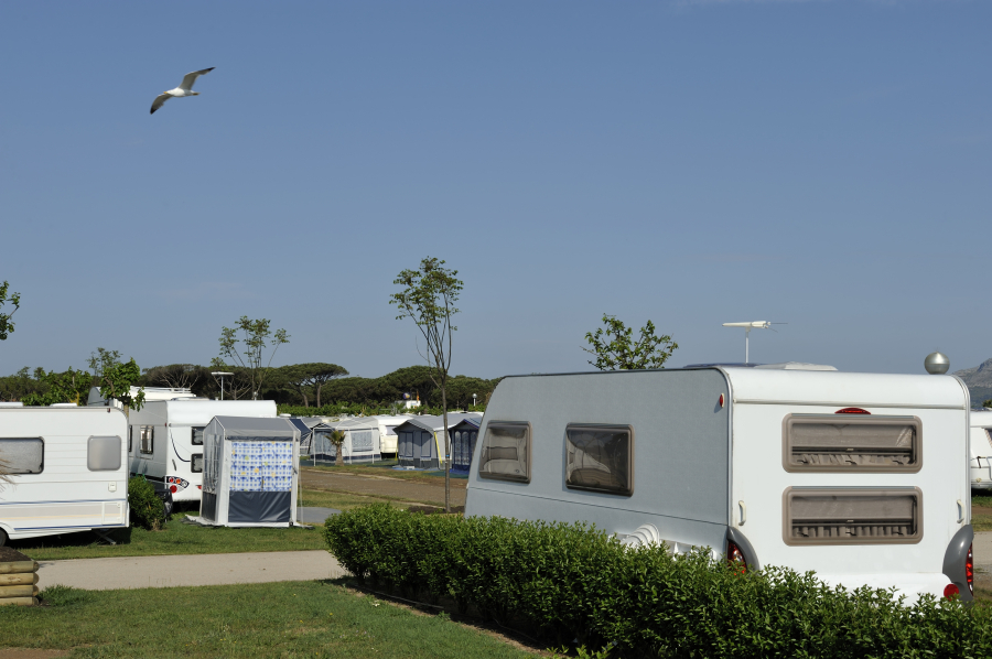 terrain de camping en ghisonaccia 